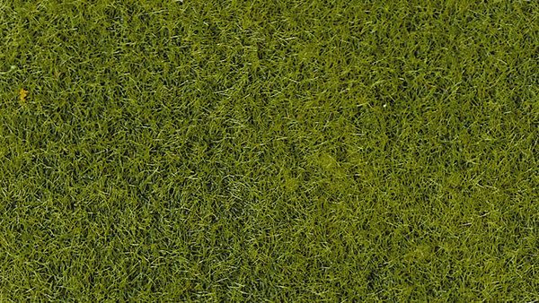 HEK3364 - 50 g bag of 2-3 mm light green flocking - 1