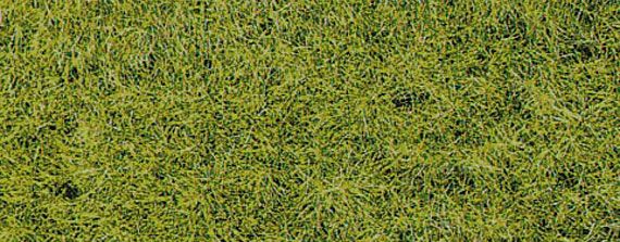 HEK3376 - XL spring flocking material - 10 mm - 50 g - 1