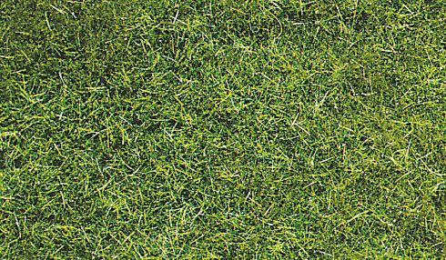 HEK3369 - Bag 75 g of dark green wild grass 5-6 mm - 1