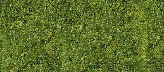 HEK1594 - Mountain meadow grass mat 24 x 14 cm - 1