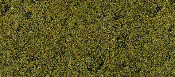 HEK1591 - Meadow grass carpet medium green 28 x 14 cm - 1