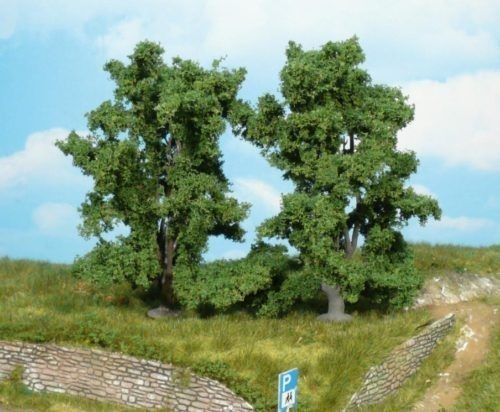 HEK1914 - 2 Rowan trees 13 cm - 1