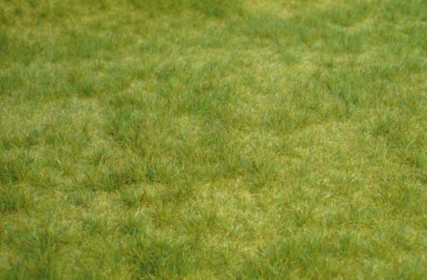 HEK1841 - Wild spring grass - 45 x 17 cm - 1
