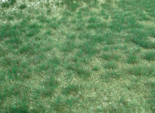 HEK1843 - Marshland green wild grass carpet 45 x 17 cm - 1