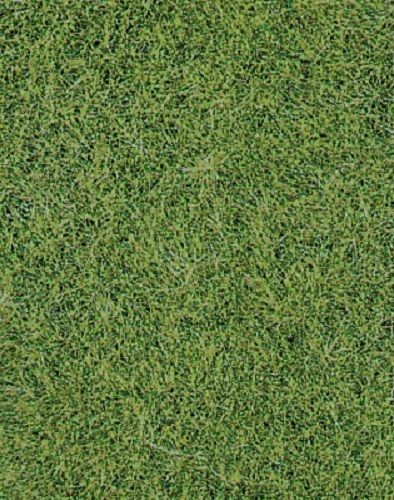HEK1870 - Meadow green wild grass carpet 40 x 24 cm - 1