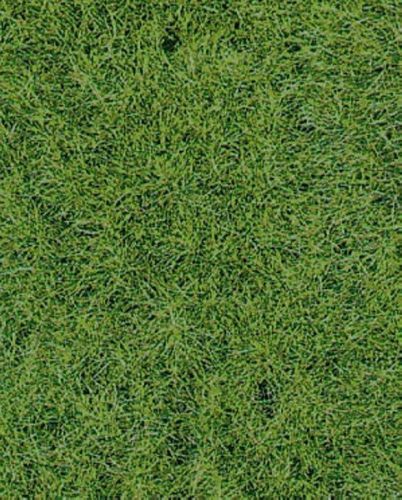 HEK1871 - Woodland wild grass carpet 40 x 24 cm - 1