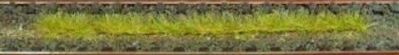 HEK1812 - Pack of 10 autumn grass strips 10 cm - 1