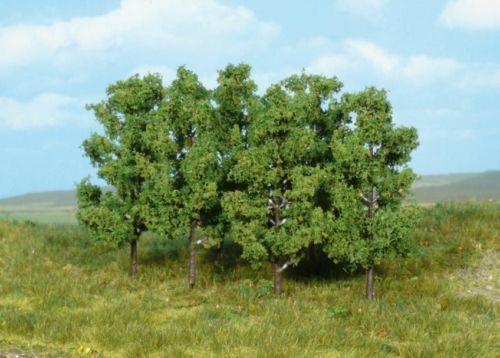 HEK1999 - 6 Alders 8 cm - 1