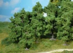 HEK1950 - Lot of 10 fruit trees 8-12 cm - 1
