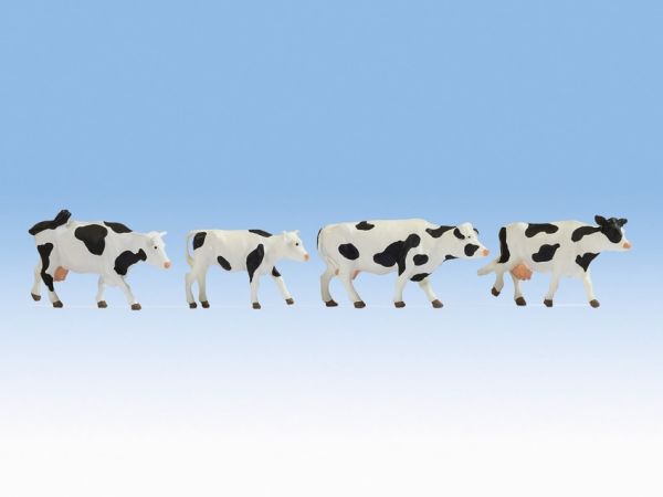 NOC17900 - Black and white cows - 1