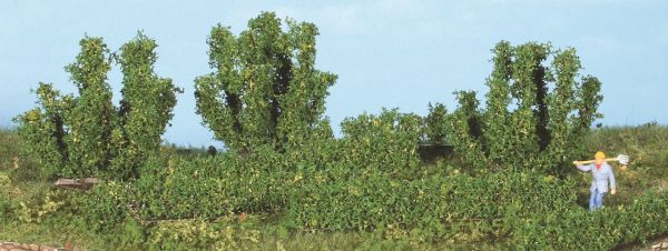 HEK19126 - 8 Bushes and hedges 0.7-5 cm - 1