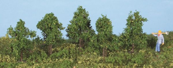 HEK19130 - 5 Deciduous trees 4 cm - 1