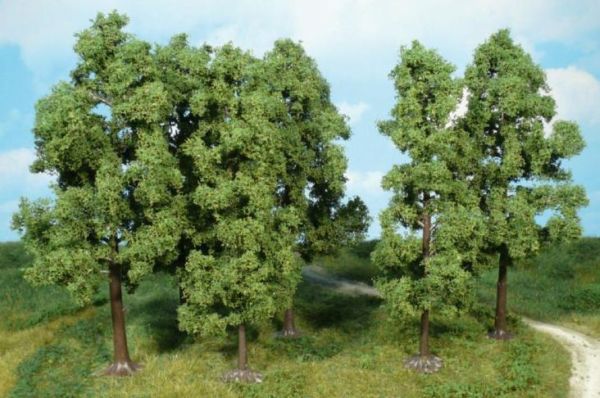 HEK1761 - Set of 6 beeches 18cm - 1