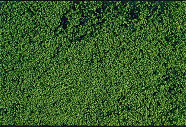 HEK1602 - Flocking foam dark green 14x28 cm - 1