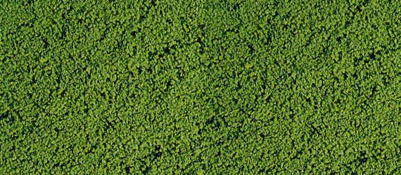 HEK1601 - Flocking foam medium green 14x28 cm - 1
