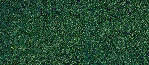 HEK1603 - Pine green flocking foam 14x28 cm - 1