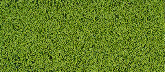 HEK1600 - Flocking foam light green 14x28 cm - 1
