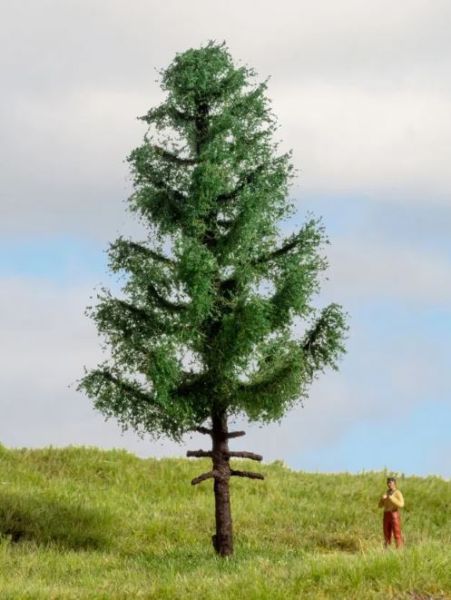 NOC20195 - High-stem spruce, 14 cm - 1