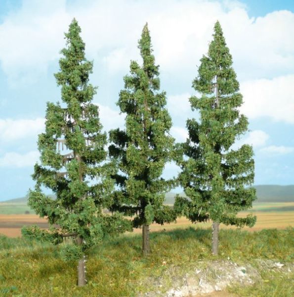 HEK2126 - 3 spruce trees 17 cm - 1