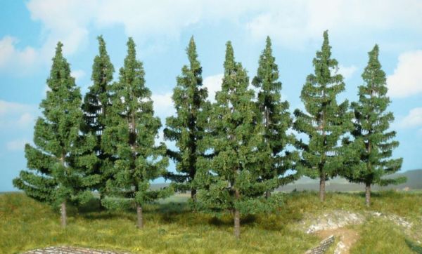HEK2127 - 8 spruce trees 17 cm - 1