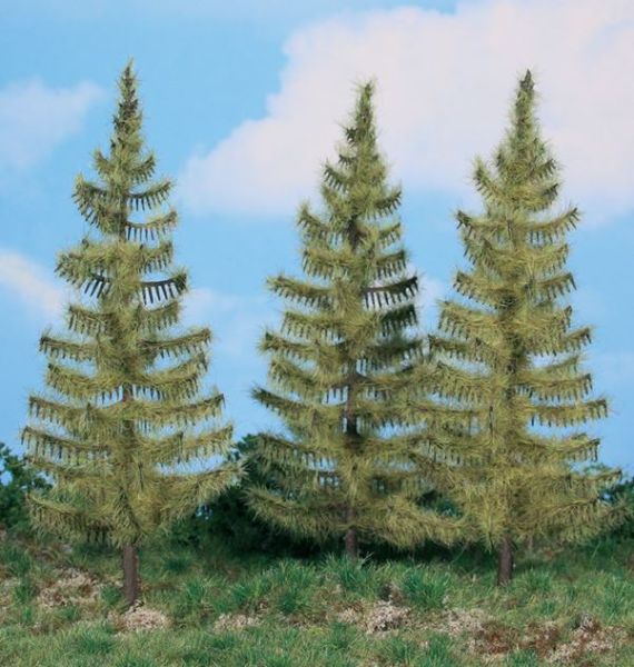 HEK2136 - 3 larch trees 17 cm - 1