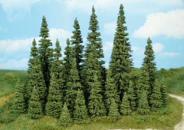 HEK2151 - 9 fir trees 5-7 cm - 1