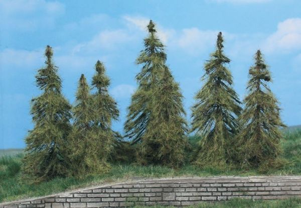 HEK2174 - 7 larch trees 7-11 cm - 1