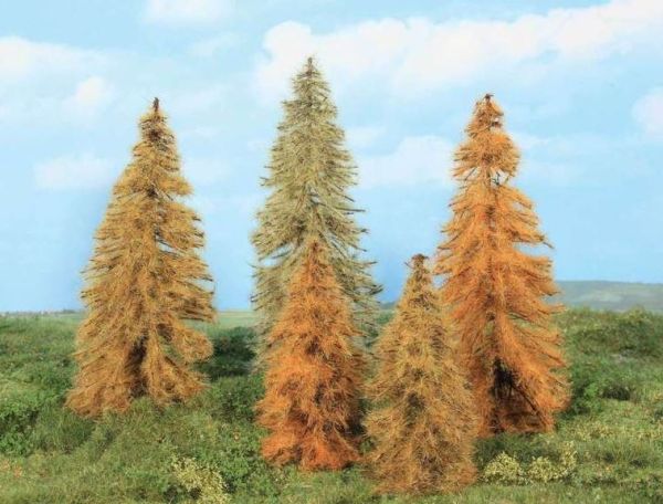 HEK2179 - 5 autumn larch trees 14-18 cm - 1