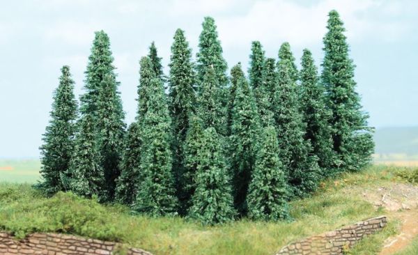 HEK2236 - 20 silver fir trees 5-9 cm - 1
