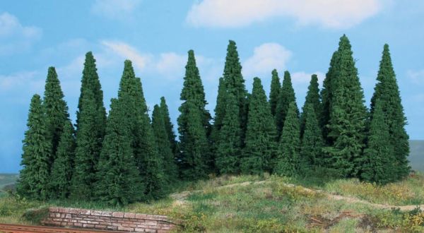 HEK2241 - 35 fir trees 5-12 cm - 1