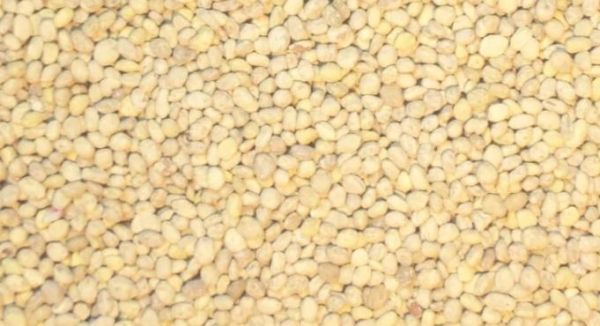 JUW23105 - 150g bag of miniature potatoes for diorama - 1