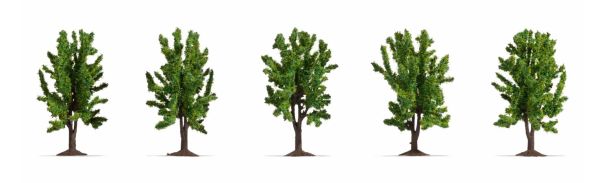 NOC25620 - 5 Leafy trees 8 cm - 1