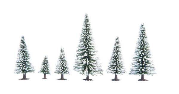 NOC26828 - 25 Snow Fir Trees, 5 to 14 cm - 1