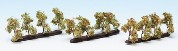 NOC21537 - 24 Planting trees with apples - 1