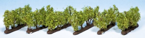 NOC21545 - Vineyards - 1