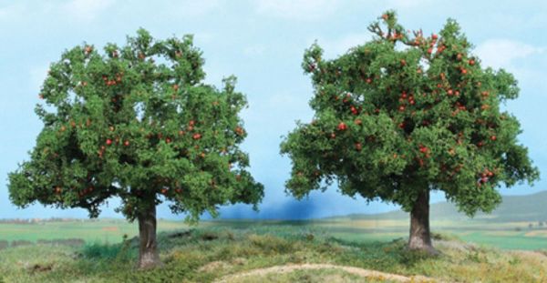 HEK1939 - 2 Apple trees 13 cm - 1