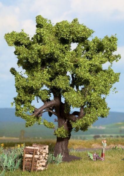 NOC21760 - Oak 15cm - 1