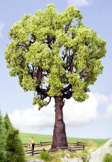 NOC21761 - Oak 19 cm - 1