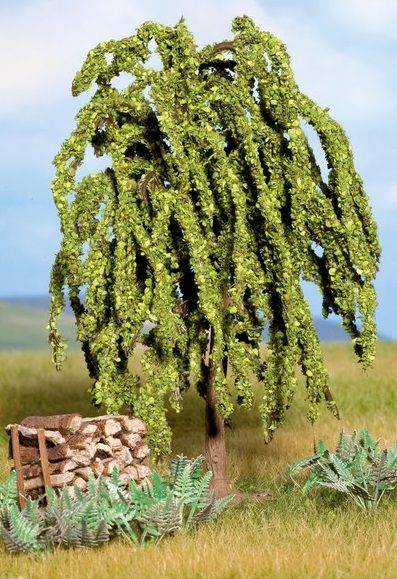 NOC21770 - Weeping willow 10 cm - 1