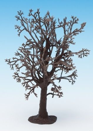 NOC22010 - Tree structure - Beech 13 cm - 1