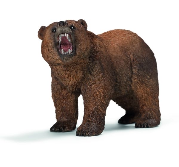 SHL14685 - Grizzly Bear - 1
