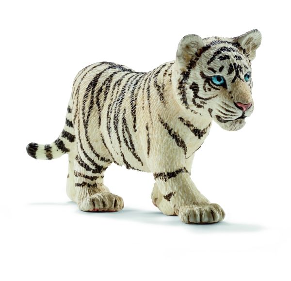 SHL14732 - baby white tiger - 1