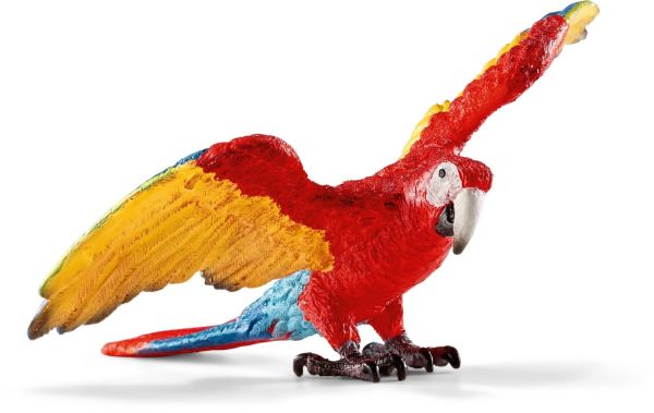 SHL14737 - Macaw - 1