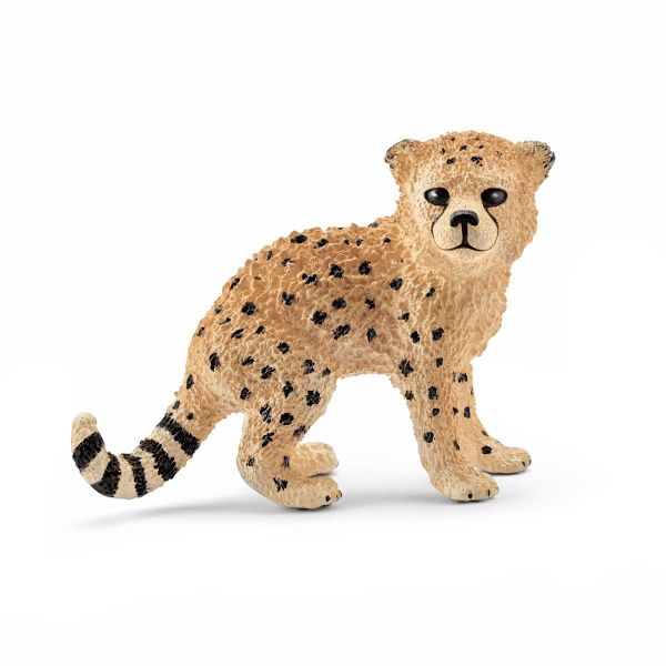 SHL14747 - baby cheetah - 1