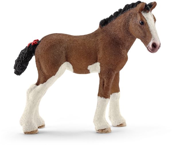 SHL13810 - Clydesdale foal - 1