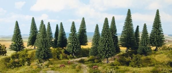 NOC24643 - 16 Fir trees 4 to 10 cm - 1