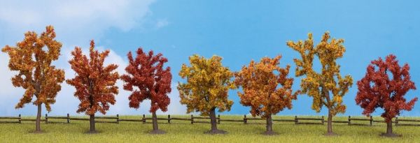 NOC25070 - 7 Autumn trees 8 to 10 cm - 1