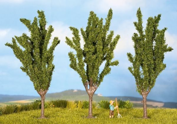 NOC25140 - 3 Poplars 12 cm - 1