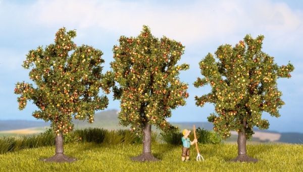 NOC25513 - 3 Apple trees 4.5 cm - 1