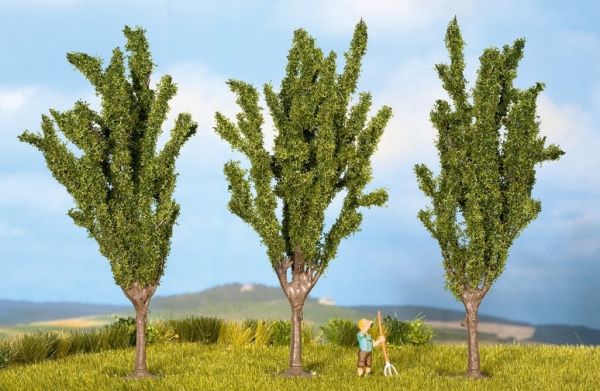 NOC25525 - 3 Poplars 5.5 cm - 1